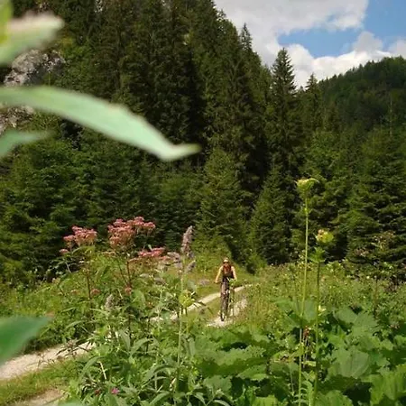 Drevenica Pod Tlstou