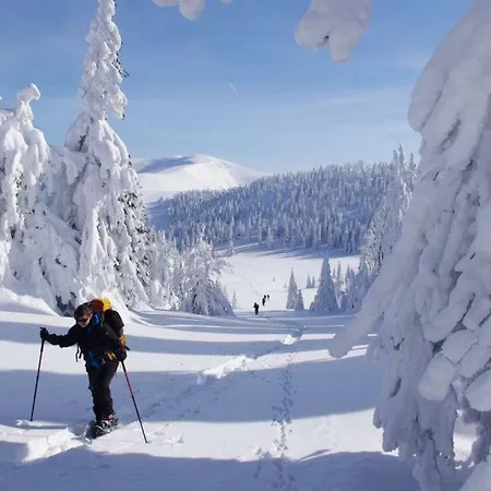 Drevenica Pod Tlstou Летний дом