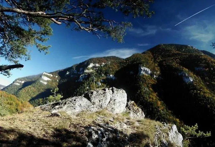 Drevenica Pod Tlstou *